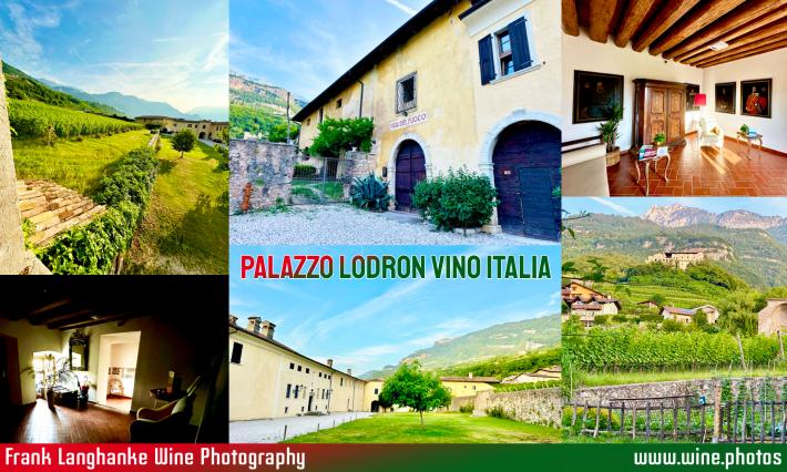 Minervino Murge Italien CANTINA DI VENOSA CANTINE COLLE PETRITO IMG 9536 2 710px